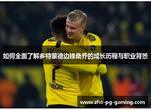 如何全面了解多特蒙德边锋桑乔的成长历程与职业背景 如何全面了解多特蒙德边锋桑乔的成长历程与职业背景