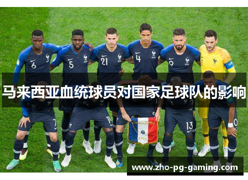 马来西亚血统球员对国家足球队的影响