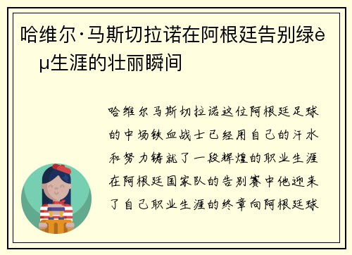 哈维尔·马斯切拉诺在阿根廷告别绿茵生涯的壮丽瞬间 哈维尔·马斯切拉诺在阿根廷告别绿茵生涯的壮丽瞬间