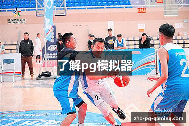 了解pg模拟器